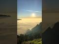 Magical view😇✨😲 kolukkumalai trek #shorts #trendingshorts