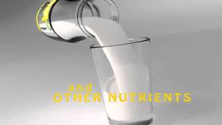 Gatas (milk) Realflow simulation