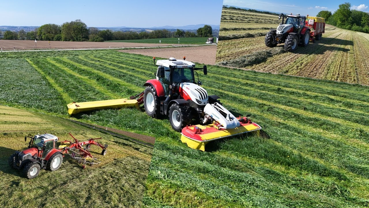 1.Schnitt 2025 ► Mähen‎ ► Schwaden ► Laden | Steyr | Lindner | Pöttinger
