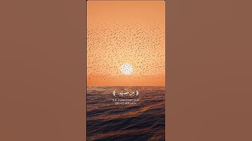 #قرآن #اكسبلور #quran #تلاوة_خاشعة #تيك_توك #راحة_نفسية #قران_كريم #لايك #آيات #ايات_قرانيه_قصيره