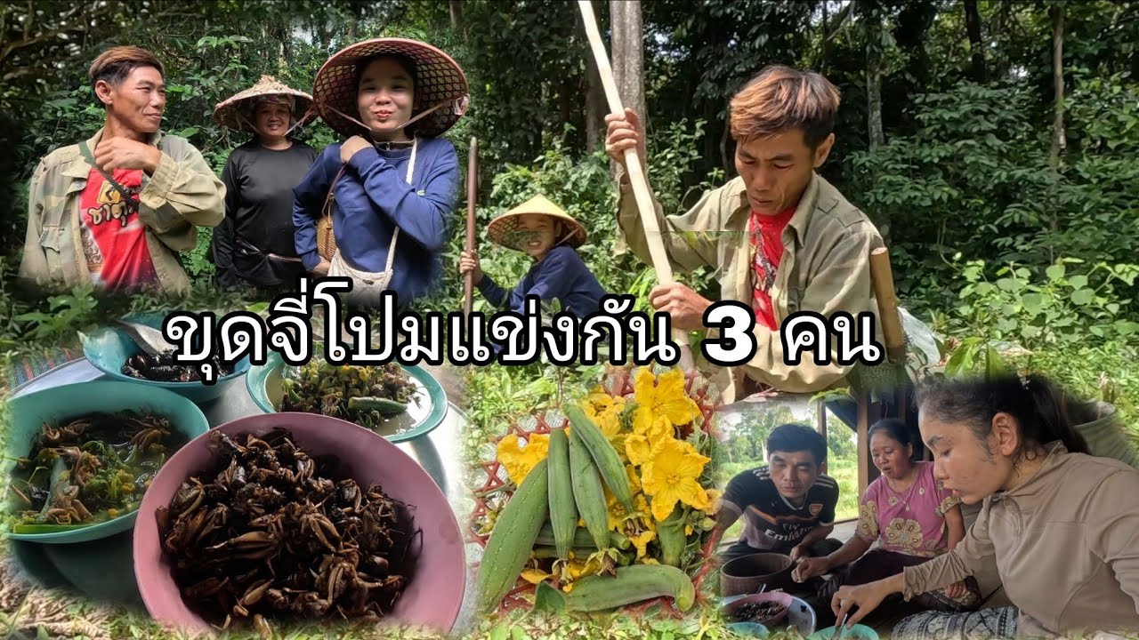 ຂຸດຈີ່ລໍ້ແຂ່ງກັນ3ຄົນ//ขุดจิโปมแข่งกัน 3 คน