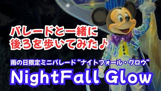 ディズニーパレード] 雨の日限定ミニパレード “NightFall Glow” 最後