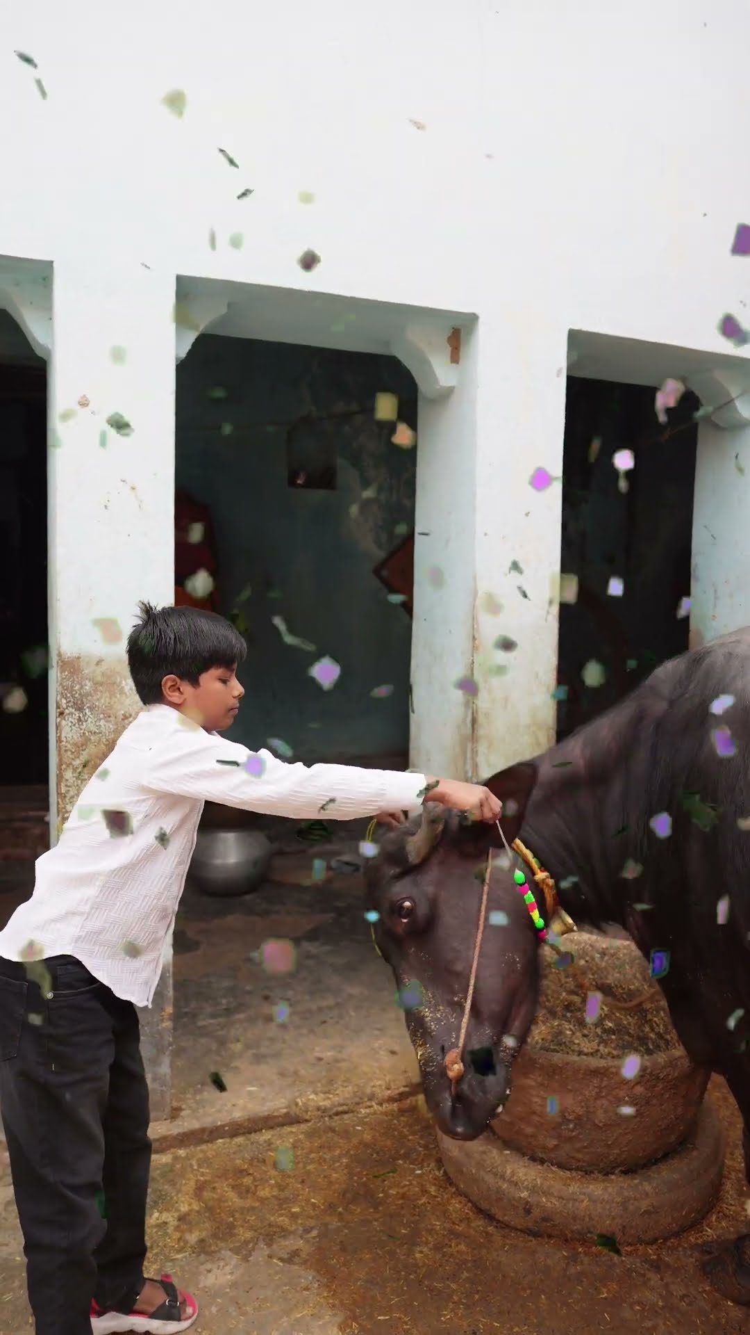 भैंस के गले में घंटी कौन बांधेगा? | Who will tie the bell around the buffalo's neck?