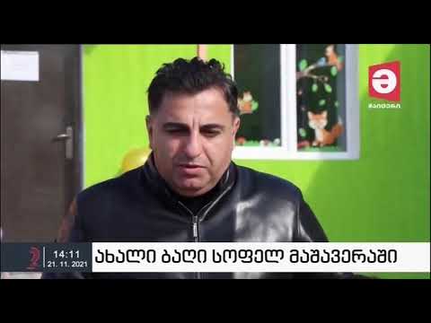Video: Zaiflashtiruvchi Steviya: Bu Nima Va U Qanday Ishlaydi