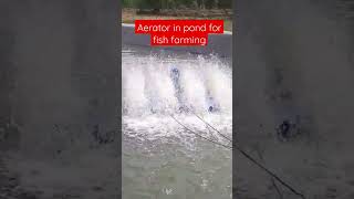 paddle wheel aerator in fish farming