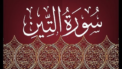 Okasha Kameny سورة التين برواية البزي عن ابن كثير المكي .. الشيخ عكاشة كميني حفظه الله