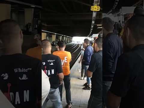 اقتحام جمل محطه قطار الجيزه وسط زهول من الركاب وبيتمشي علي القضبان