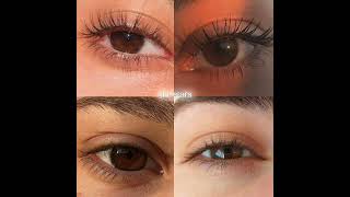 Brown Eyes  trend trending browneyes brown eyes pretty viralshort