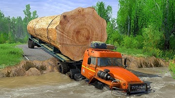 SHOCKING Truth About Heavy Logging Trucks on DANGEROUS Roads