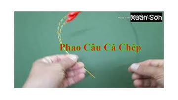 Câu Đài Miền Bắc | Phao Câu Cá Chép - Cá Diếc Báo Chuẩn Nhất