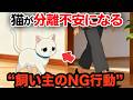 猫が分離不安になる飼い主のNG行動【猫雑学】