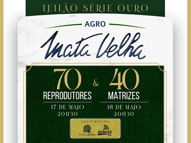 Lote 23   Lardal FIV J  Mata Velha   MATA C1049 Copy