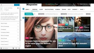 Eximious Magazine Customizer & Widget Options Preview