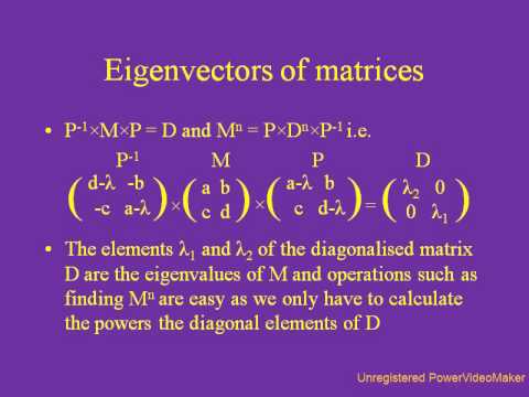 Random Matrices