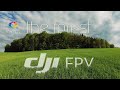 the forest | dji fpv | 4k | cinematic | freestyle