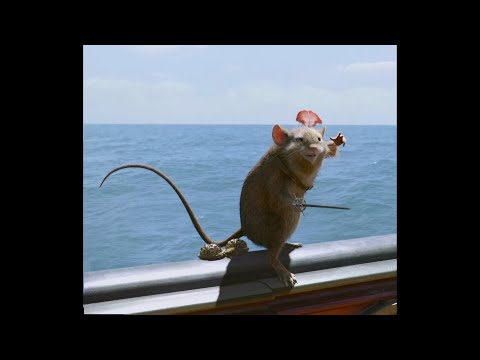 The Chronicles Of Narnia: Reepicheep