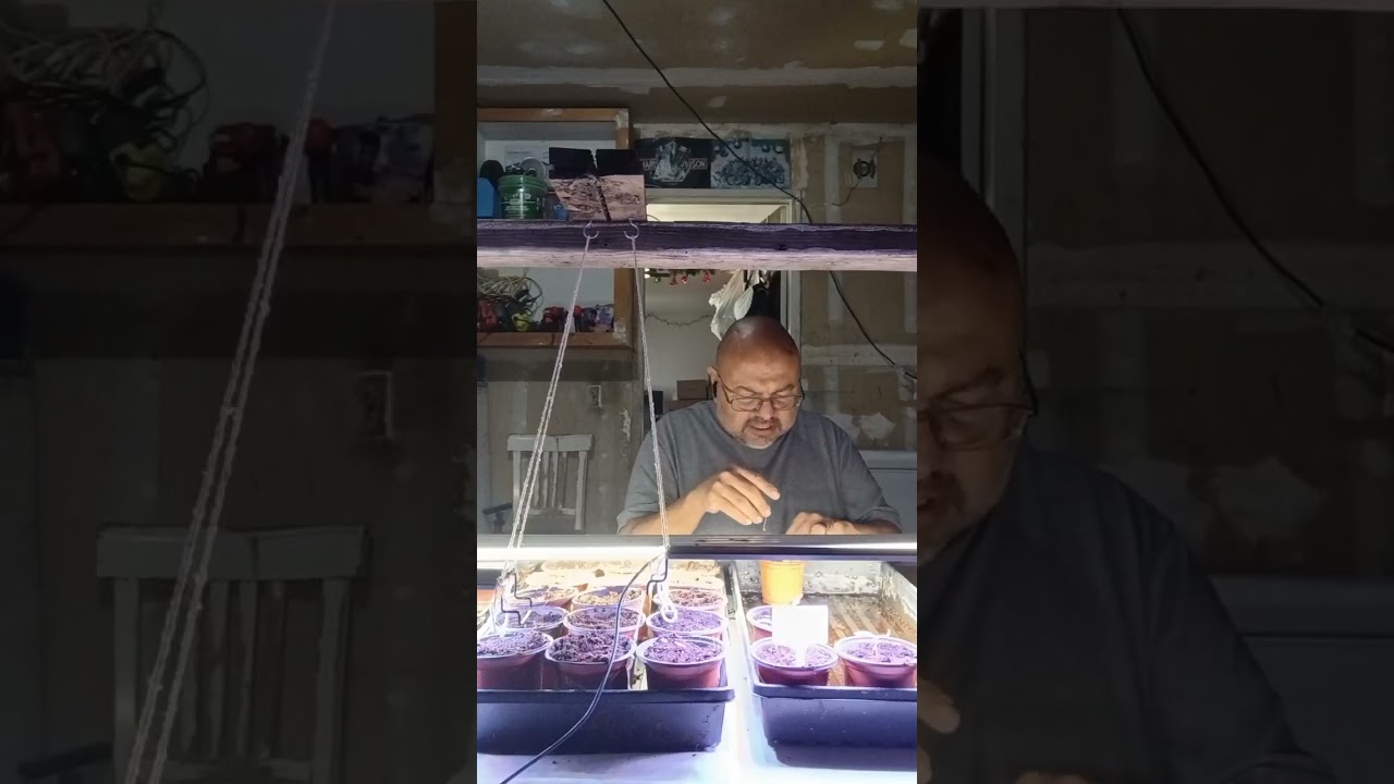 Time to up pot plants