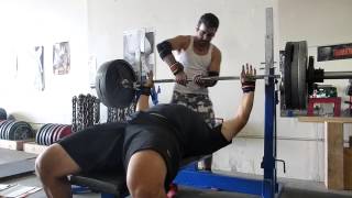 335X1 Bench Press