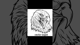 membuat vector burung