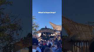 What is rope drop & how to do it successfully #disneyland
