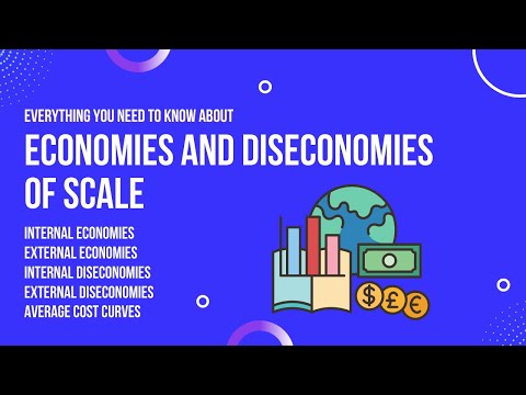 Video: Ano ang mga panloob na diseconomies of scale?