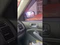 #CARAMELO  CACHORRO  PROCURANDO  OFERTA DE COSTELA  POR  19,90 NO AVENIDA