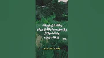 تلاوة مباركة من آيات الذكر الحكيم