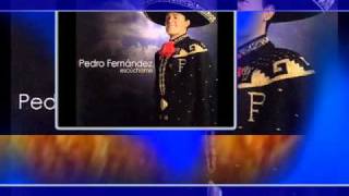 Watch Pedro Fernandez Un Mundo Raro video