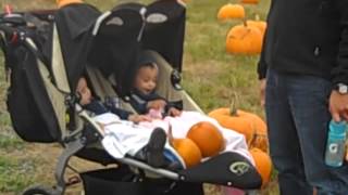 Roloff Farms Pumpkin Patch-16 Months old