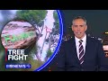 Protesters swarm state parliament in bid to save trees in Adelaide | 9 News Australia