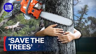 Protesters swarm state parliament in bid to save trees in Adelaide | 9 News Australia