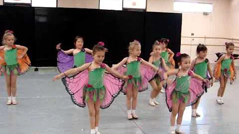 Butterfly Dance