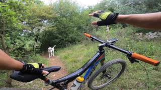 Acquedotto Maso Trail mtb con cani