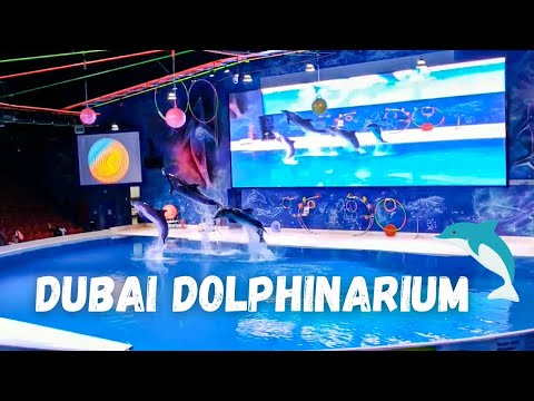 Dubai Dolphinarium || Dolphin & Seal show
