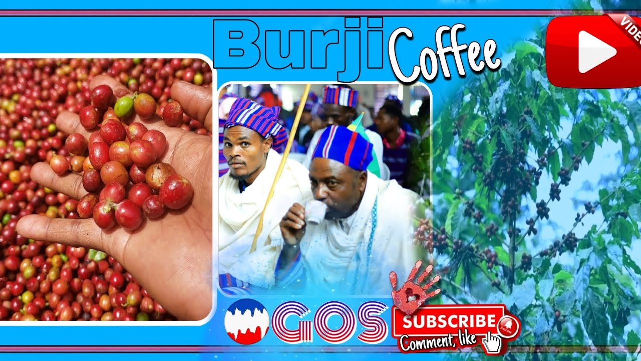 የኬንያ ቡርጂዎች ኢንቨስትመንት ላይ ተሳተፉ ||አቶ ቹቹ ባቴ  ||20ኛዉ ብሄረሰቦች ቀን በቡርጂ ዞን||የተለያዩ ቦታዎች ላይ ሹመት ተደረገ። 