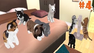 Cat & Dog Online: Pet Animals -Kittens- Android/iOS - Gameplay Episode 4 screenshot 1