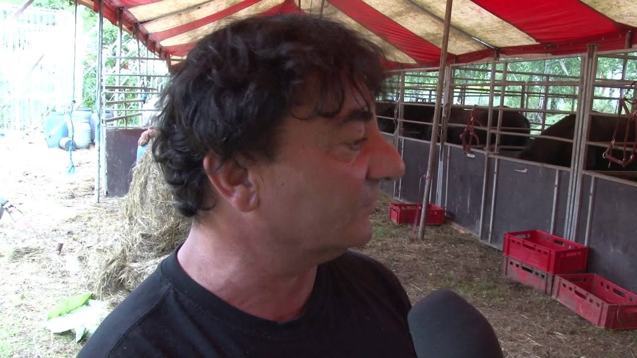 Leben im Zirkus „Fischer-Starlight