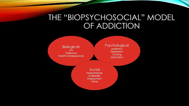 Key Drug Addiction Counseling Skills & Techniques - Client Assessment