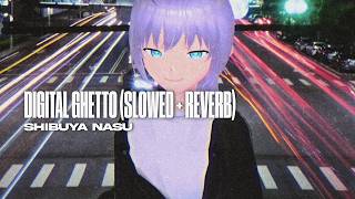 Shibuya Nasu - Digital Ghetto (Slowed   Reverb)
