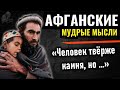 Афганские пословицы и поговорки, Золотые слова Афганских мудрецов, Мудрые мысли Пуштунов