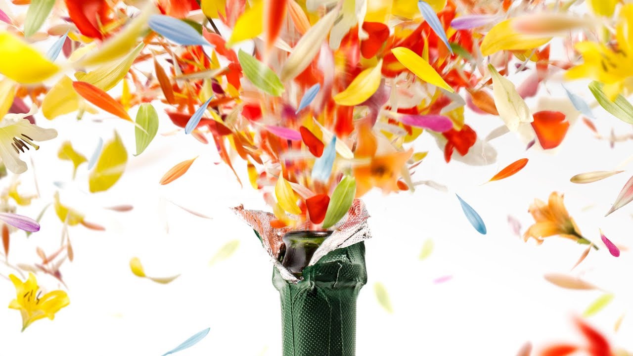 DAf - Cavicchioli - Piacere!