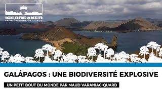 Un Petit Bout Du Monde : les îles Galapagos par Maud Varaniac-Quard