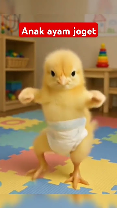 anak ayam joget pakai pempers #anakayamlucu #anakayam #anakayampelangi #anakayamwarna #trending #fyp