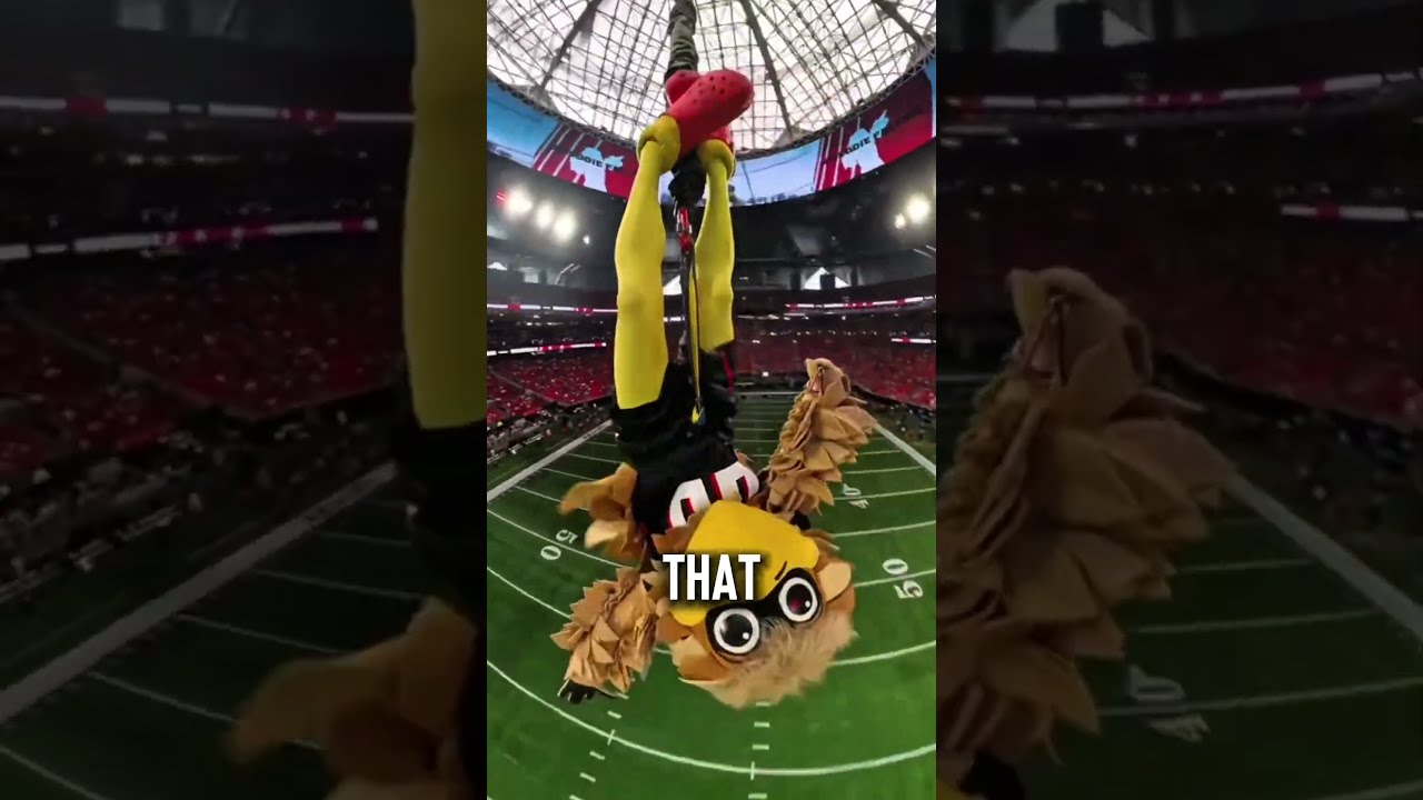 Highest Indoor Rope Swing Atlantafalcons 