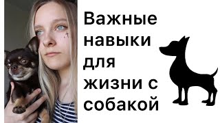 ВАЖНЫЕ НАВЫКИ ДЛЯ ЖИЗНИ С СОБАКОЙ