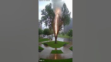 Lightning Strike Hits Tree! ⚡🌲 Caught On Camera#LightningStrike #CaughtOnCamera #TreeStrike