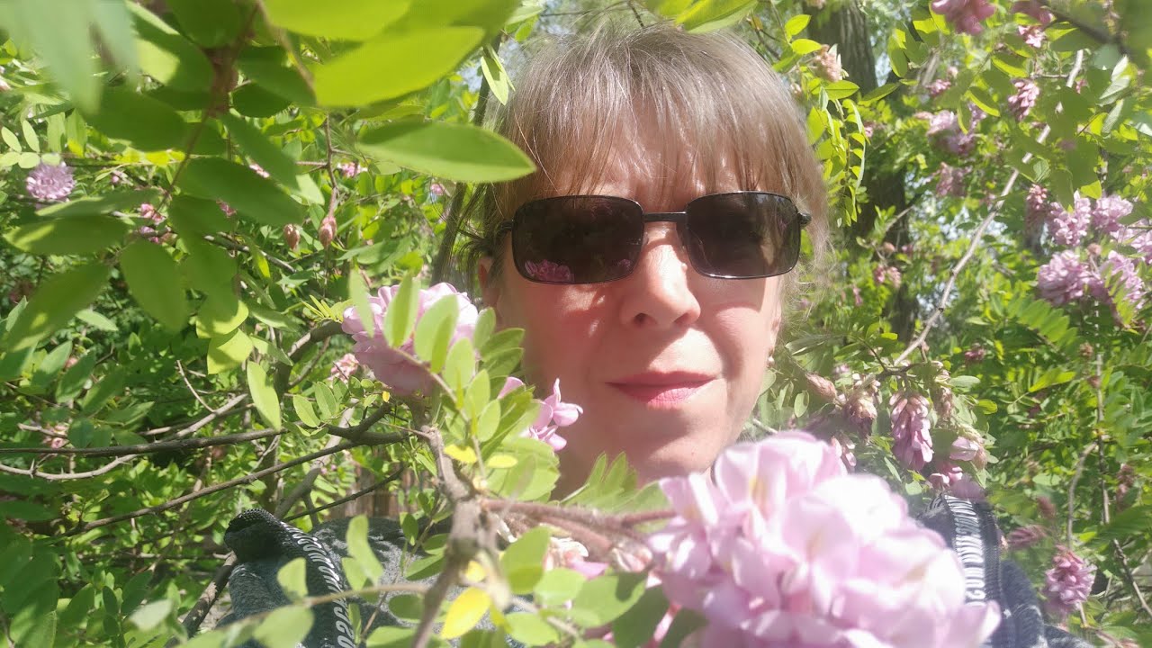 Соловей заливается! Успокоительное для нервной системы! - YouTube