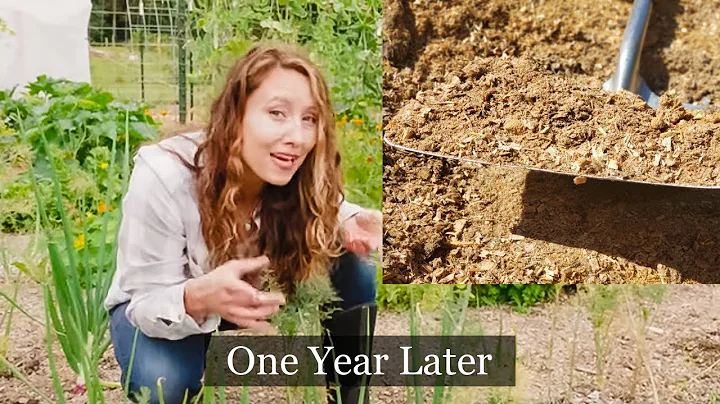 We covered 1/2 the garden in wood chips | One Year...