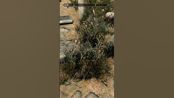 Maak eenvoudig helende drankjes in Skyrim! 🍵✨