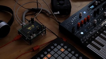 Norns Shield and MicroFreak